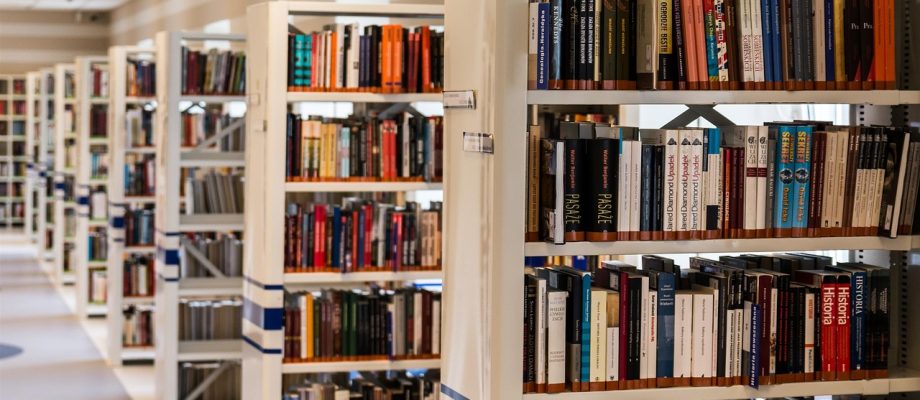 library, books, bookcases-488690.jpg